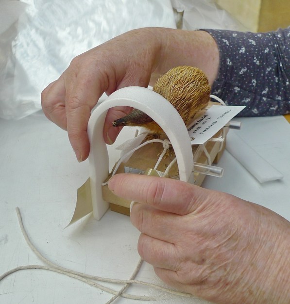 DMC-LX3 - 0034 - Copy