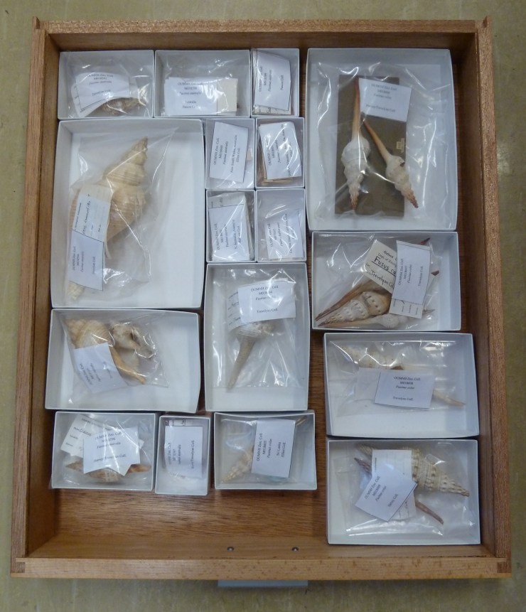 ...and a newly-sorted drawer