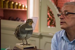 Derek Frampton and the partidge