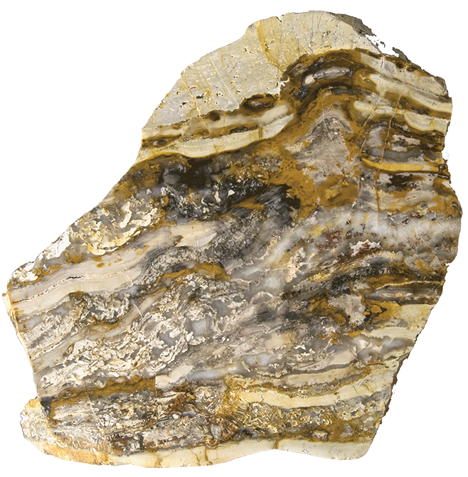 _Stromatolite