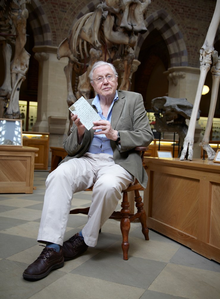 Sir David Attenborough in the Museum with a Wallace letter