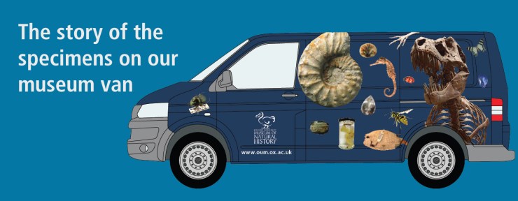 What's on the van banner 2