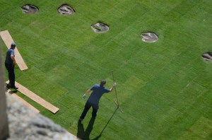 Megalosaurus prints on the Museum lawn