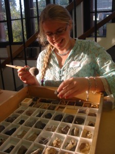 Laura Cotton in the Earth Collections.