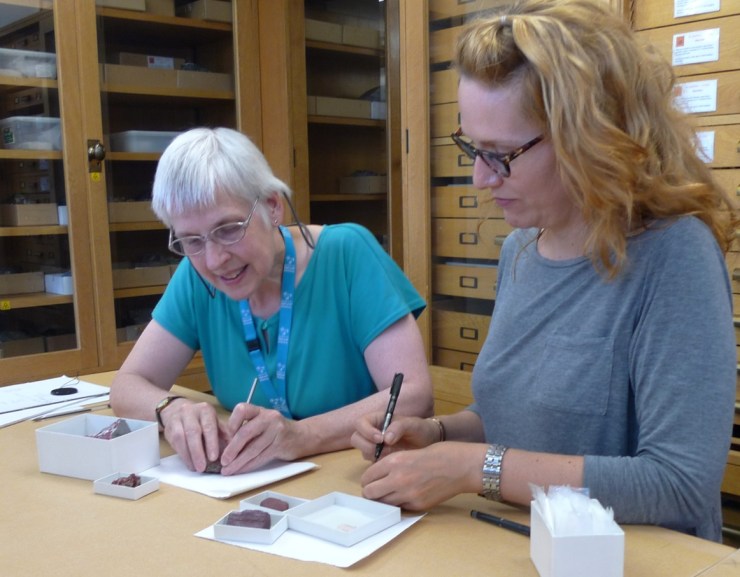 Monica Price (l) and Ina St George (r) are removing tiny samples from the mineral specimens, ready to analyse