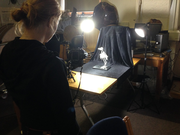 Macrophotography. Image copyright Keith Barnes