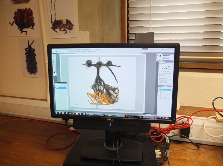 Multiplane photography. Image copyright Rose Parkin