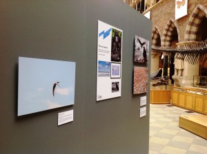 Mastery of the Skies on display in the Museum
