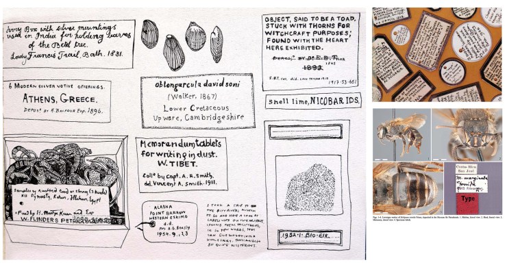 Student sketches of labelling and notation
