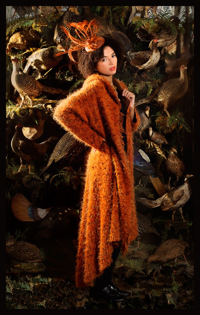 Oxford University Museum of Natural History,