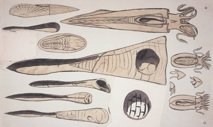 Belemnite+reconstruction+Buckland_medium