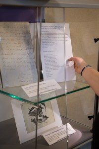 The Presenting... display of Megalosaurus bucklandii, on show until 17 May.