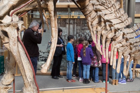 Martin Parr, an Iguanodon and young visitors