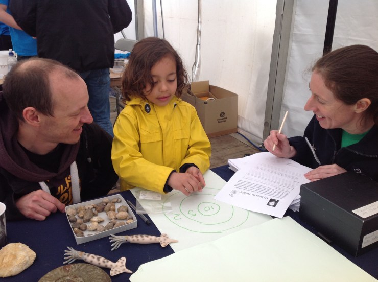 Writing down the rules with Eliza