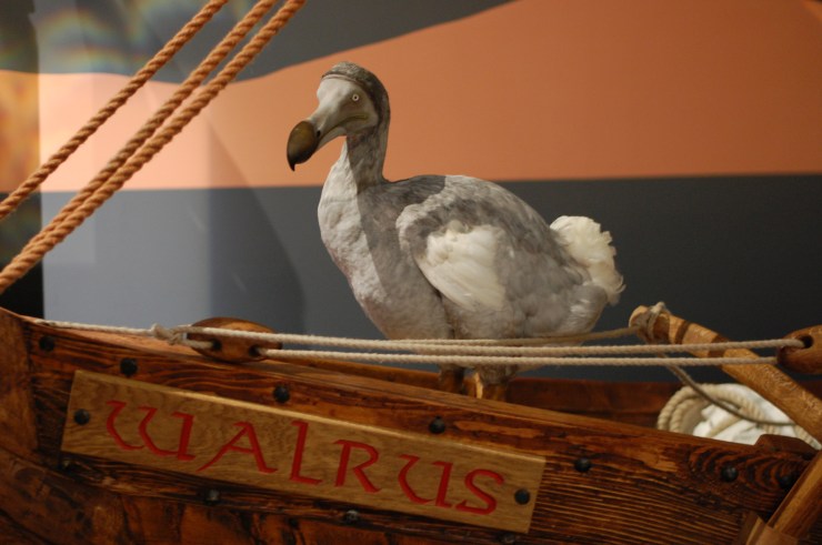 Squawk! I'm on the Walrus, a 14m Viking ship. It's the first stop on my tour and what a way to start!