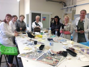 Taxidermy Creations workshop