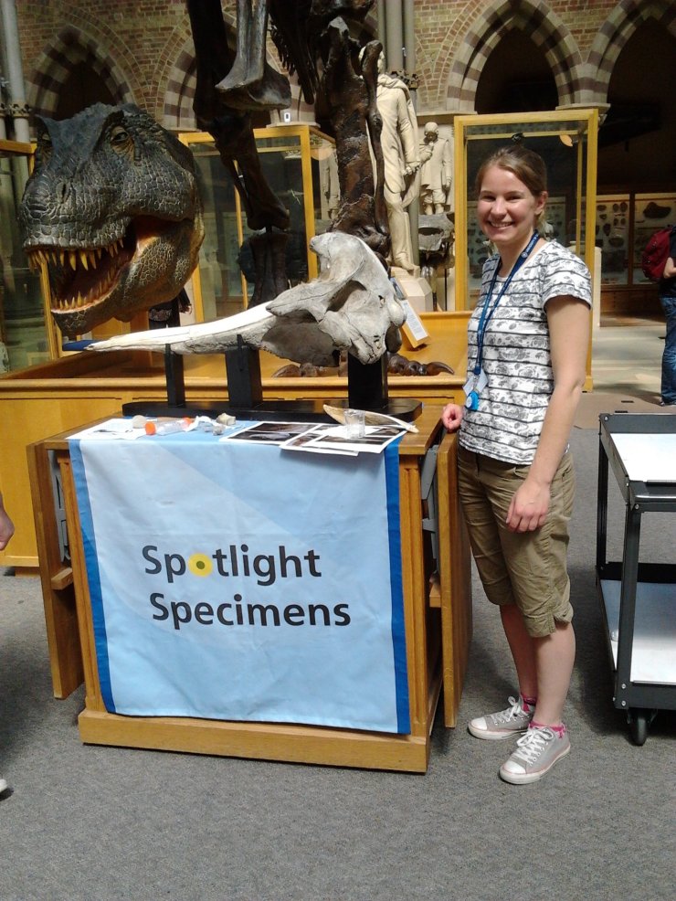 Ruth presenting the whale to visitors as part of our Spotlight Specimens strand
