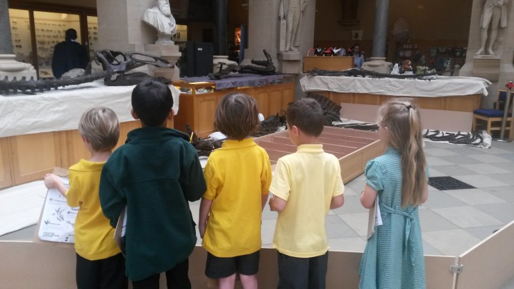 The Edmontosaurus bones attract attention from a visiting primary school.