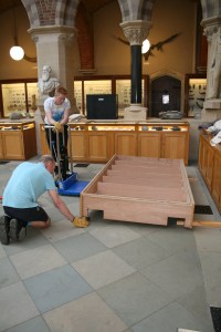Returning the Edmontosaurus base to the museum court with supervisor Pete Johnson