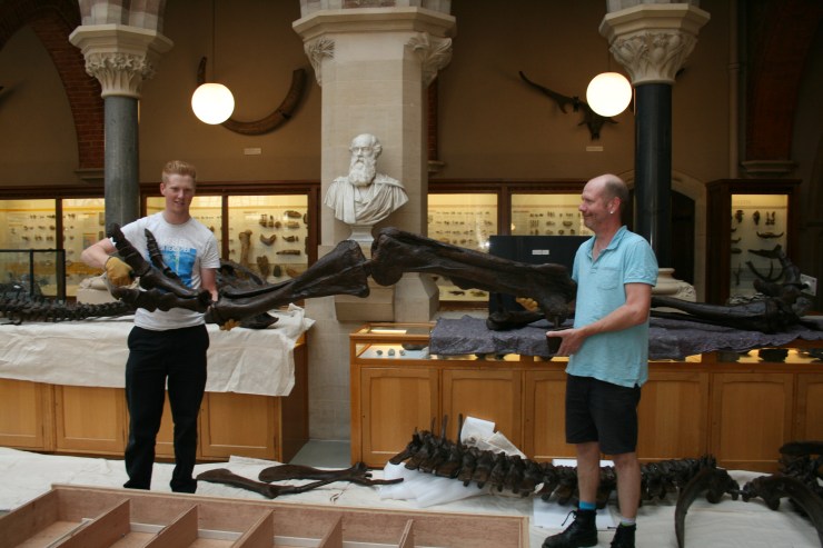 Edmontosaurus re-instate 011