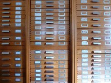 Molluscs- Sun dappled mollusc cabinets. I love the smell of molluscs in the morning.