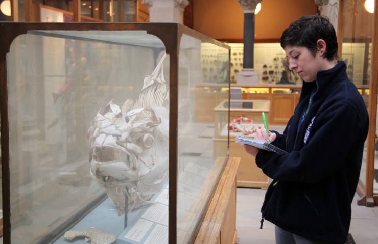 Conservation intern Abby assesses the condition of the Bluefin Tuna in order to develop a plan for treatment.