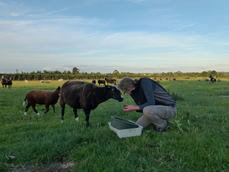 Ceri Watkins making new friends during DUMP fieldwork