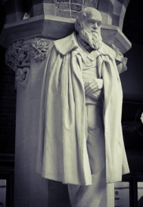 The Museum's statue of Darwin