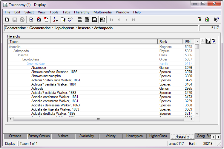 Screenshot of part of taxonomy hierarchy in KE EMu CMS