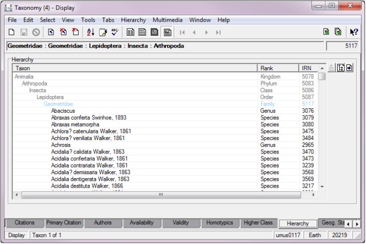 Screenshot of part of taxonomy hierarchy in KE EMu CMS