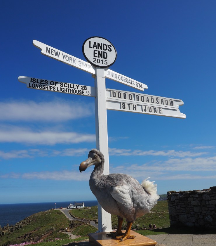 The Dodo's journey begins...