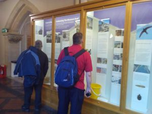 Visitor exploring the exhibition