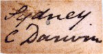 The handwriting on the specimen's label confirms that it was collected by Charles Darwin