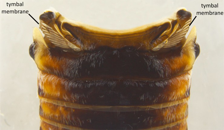 PowerPoint Presentation