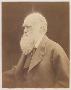 ‘Charles Darwin, Naturalist’, 1868, Julia Margaret Cameron, The Royal Photographic Society Collection © National Media Museum, Bradford / SSPL. Creative Commons BY-NC-SA