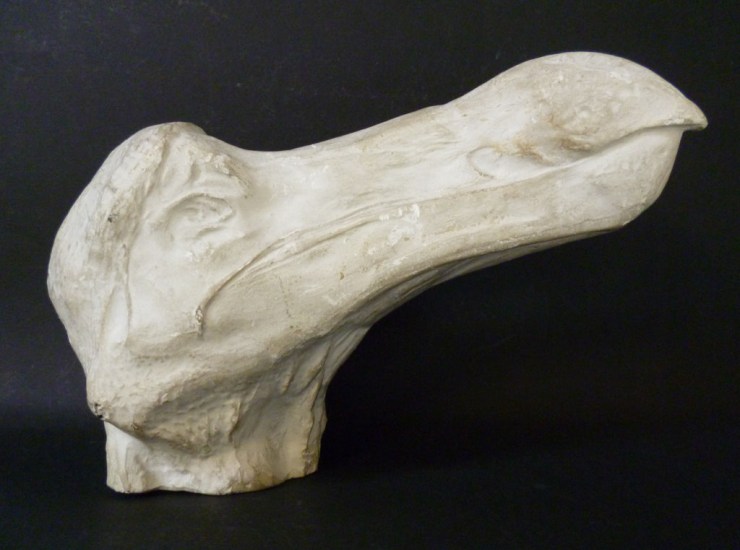 Cast of head and foot presented to the museum by E.Ray Lankester in 1891/1892 just after leaving UCL and being appointed the Linacre Professor of Comparative Anatomy at Oxford. 