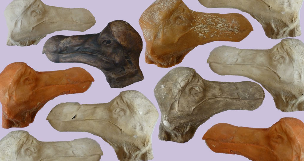 Flight' of the Dodo – More Than A Dodo