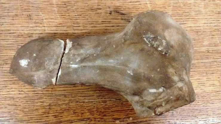 © Warwickshire Museum