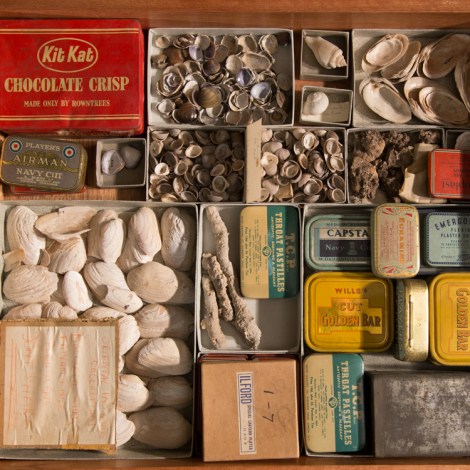 A miscellany of boxes for a collection of shells
