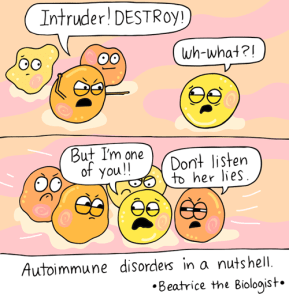 Auto immune illustration