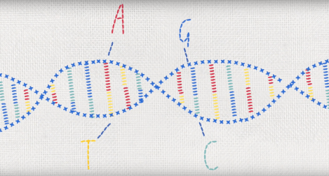 Illustrated strand of DNA