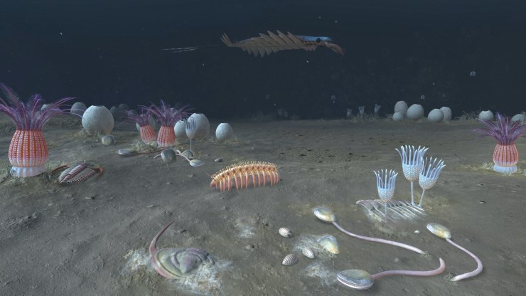 Digital reconstruction of a Cambrian ocean