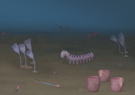 Abigail Harris - artwork showing reconstruction of Cambrian ocean animal life