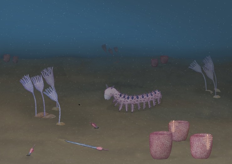 Abigail Harris - artwork showing reconstruction of Cambrian ocean animal life