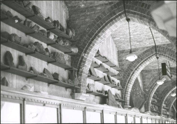 Geology specimens on the walls
