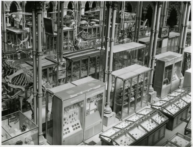 The Museum court, unknown date