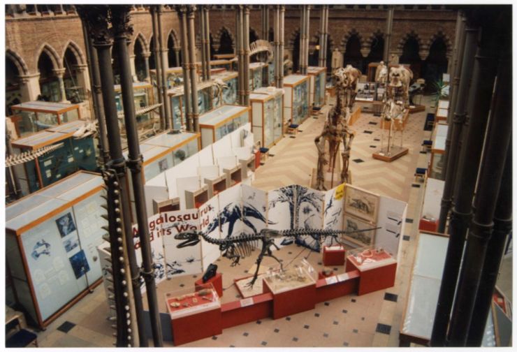 Megalosaurus temporary exhibition
