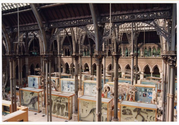 The Museum court in 1994