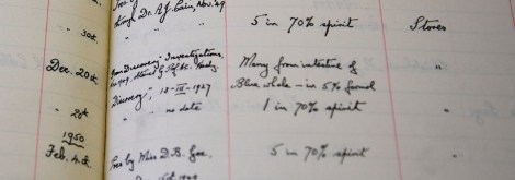 Image of Oxford University Museum of Natural History zoology collections accession register entry for this specimen showing the donation of the specimen and collector information.