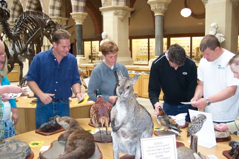 People around a table of touchable taxidermy specimens